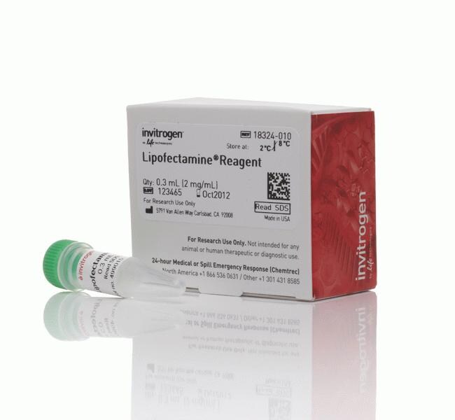 Lipofectamine&trade; Transfection Reagent